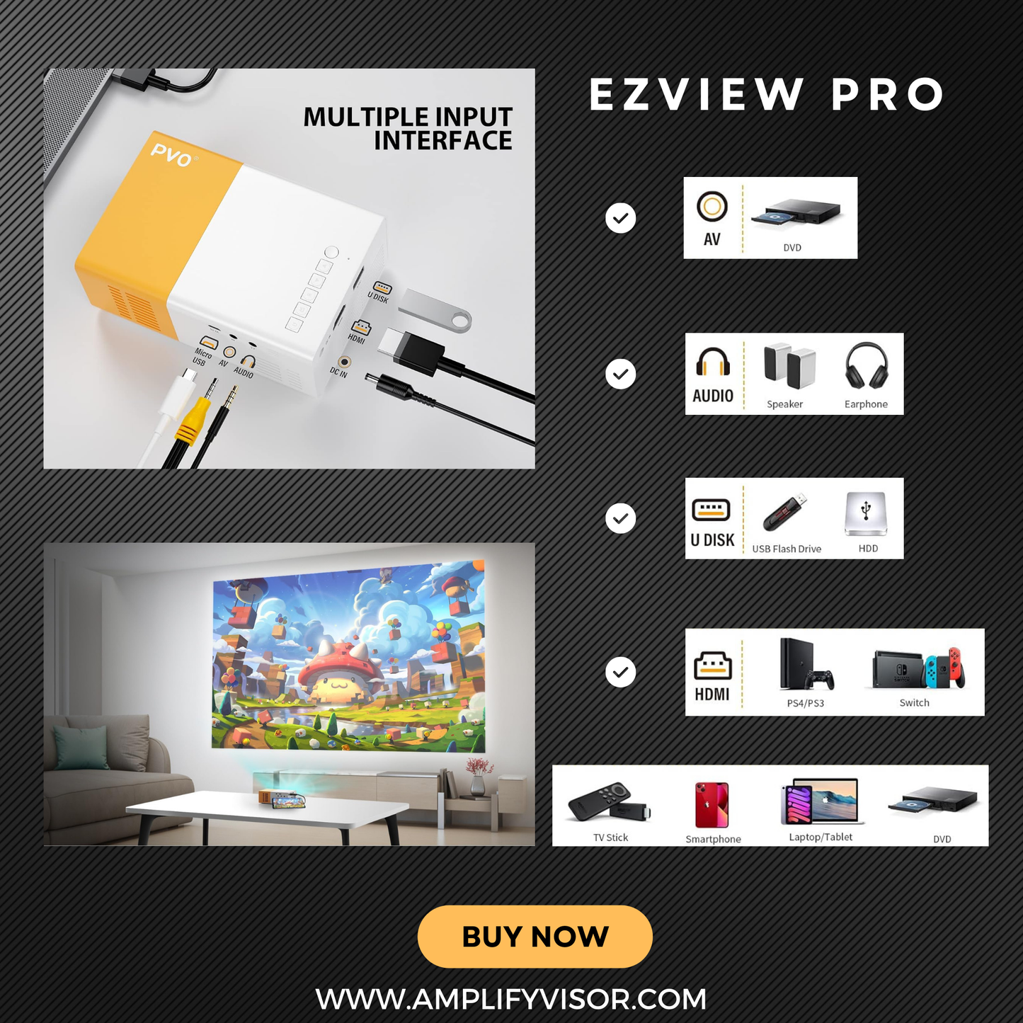 EZView Pro